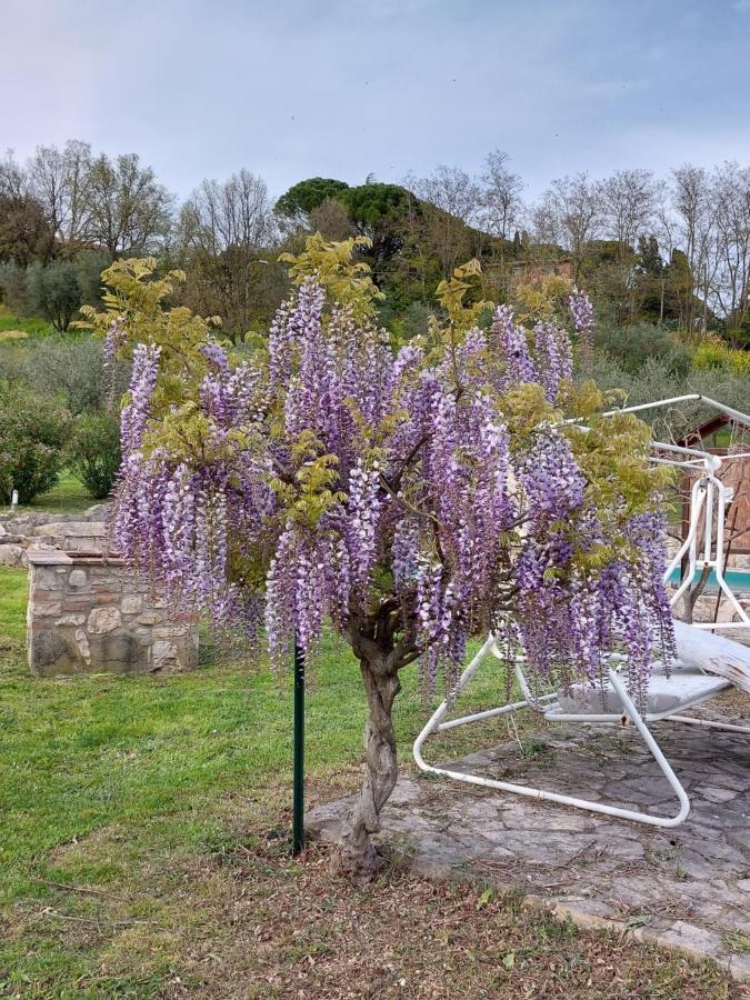 Agriturismo Camera Rosa Τόντι Εξωτερικό φωτογραφία